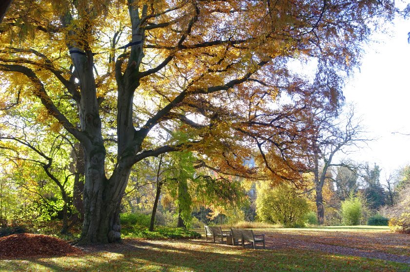 TU Brunswick Botanical Garden, Braunschweig, Germany, Germany